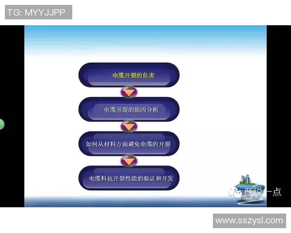 足球红黄牌制度解析与影响探讨及其对比赛公正性的作用分析